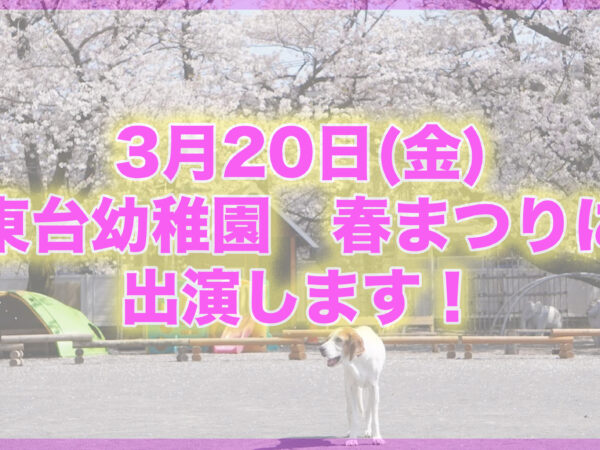 東台幼稚園の春まつりに出演します！